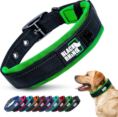 Medium Dog Collar - Adjustable Reflective Heavy-Duty Design with Ultra-Soft Neoprene Padding - Weatherproof and Durable - Perfect for Active Dogs - Aqua and Gray