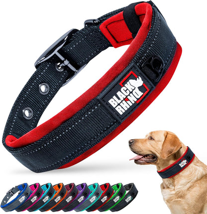 Medium Dog Collar - Adjustable Reflective Heavy-Duty Design with Ultra-Soft Neoprene Padding - Weatherproof and Durable - Perfect for Active Dogs - Aqua and Gray