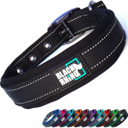 Medium Dog Collar - Adjustable Reflective Heavy-Duty Design with Ultra-Soft Neoprene Padding - Weatherproof and Durable - Perfect for Active Dogs - Aqua and Gray