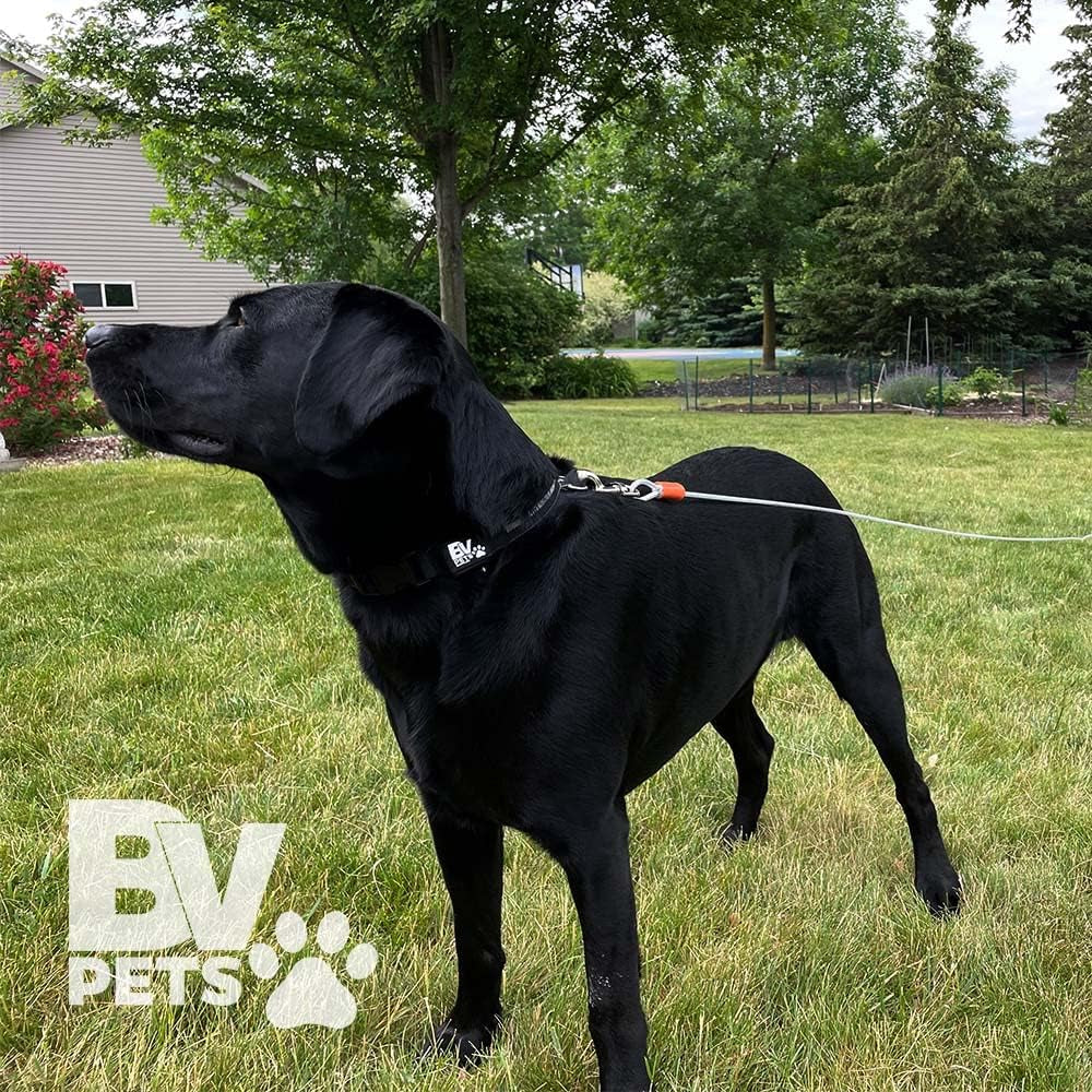 25-Foot Heavy-Duty Dog Tie-Out Cable for Dogs Up to 90 Pounds - Reflective, Rust-Resistant with Quick Release Swivel Clips & 360° Rotating Clasp - Tangle-Free Runner for Yard (Silver, Single)