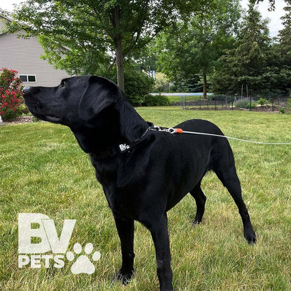 25-Foot Heavy-Duty Dog Tie-Out Cable for Dogs Up to 90 Pounds - Reflective, Rust-Resistant with Quick Release Swivel Clips & 360° Rotating Clasp - Tangle-Free Runner for Yard (Silver, Single)