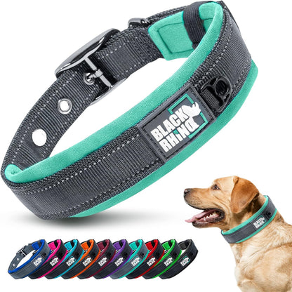 Medium Dog Collar - Adjustable Reflective Heavy-Duty Design with Ultra-Soft Neoprene Padding - Weatherproof and Durable - Perfect for Active Dogs - Aqua and Gray