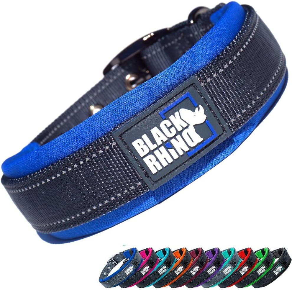 Medium Dog Collar - Adjustable Reflective Heavy-Duty Design with Ultra-Soft Neoprene Padding - Weatherproof and Durable - Perfect for Active Dogs - Aqua and Gray