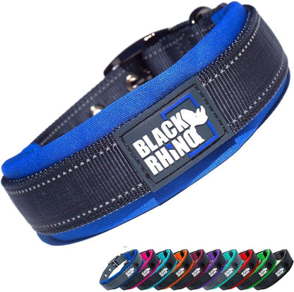 Medium Dog Collar - Adjustable Reflective Heavy-Duty Design with Ultra-Soft Neoprene Padding - Weatherproof and Durable - Perfect for Active Dogs - Aqua and Gray