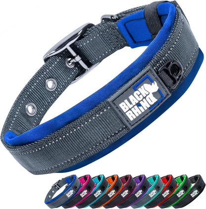 Medium Dog Collar - Adjustable Reflective Heavy-Duty Design with Ultra-Soft Neoprene Padding - Weatherproof and Durable - Perfect for Active Dogs - Aqua and Gray