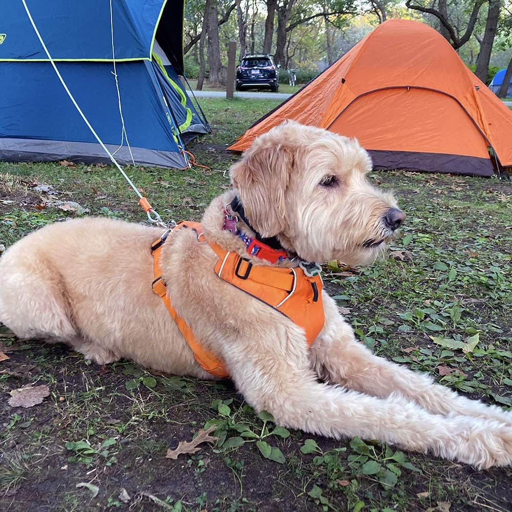25-Foot Heavy-Duty Dog Tie-Out Cable for Dogs Up to 90 Pounds - Reflective, Rust-Resistant with Quick Release Swivel Clips & 360° Rotating Clasp - Tangle-Free Runner for Yard (Silver, Single)