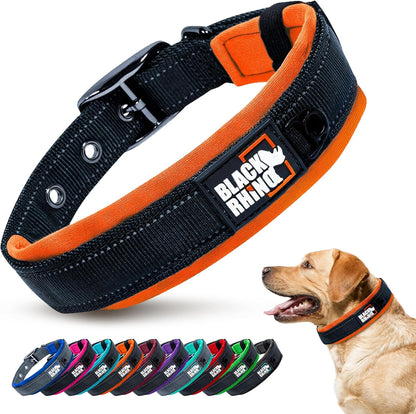 Medium Dog Collar - Adjustable Reflective Heavy-Duty Design with Ultra-Soft Neoprene Padding - Weatherproof and Durable - Perfect for Active Dogs - Aqua and Gray
