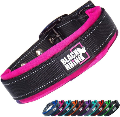 Medium Dog Collar - Adjustable Reflective Heavy-Duty Design with Ultra-Soft Neoprene Padding - Weatherproof and Durable - Perfect for Active Dogs - Aqua and Gray